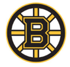 boston bruins